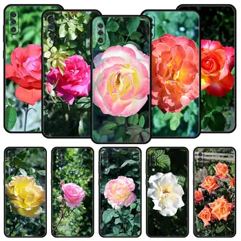 Gül Çiçekler Botanik Telefon Kılıfı İçin Samsung Galaxy A52 A50 A70 A10 A30 A40 A20S A20E A02S A12 A22 A72 A32 5G A04s Silikon Kapak 0