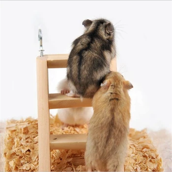 Hamster Tırmanma Merdiveni Ahşap Köprü Küçük Hayvanlar Çiğnemek Oyuncak Gerbil Sıçan Degus 1