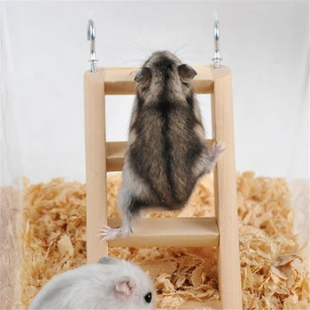 Hamster Tırmanma Merdiveni Ahşap Köprü Küçük Hayvanlar Çiğnemek Oyuncak Gerbil Sıçan Degus 2