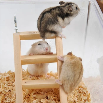 Hamster Tırmanma Merdiveni Ahşap Köprü Küçük Hayvanlar Çiğnemek Oyuncak Gerbil Sıçan Degus 4